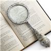 Image 1 : Shell Magnifying Glass