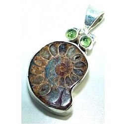 Ammonite & Peridot Pendant