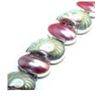 Image 1 : Nautilus Shell Bracelet