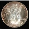 Image 1 : 2002  US silver Eagle  GEM in original box lite tone