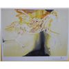 Image 2 : Dali Limited Edition Lithograph