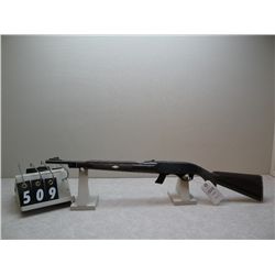 Remington  Nylon  22 cal  rifle 2293958
