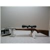 Image 1 : Ruger 10/22 22 cal rifle  24954456