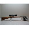Image 2 : Ruger 10/22 22 cal rifle  24954456