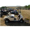 Image 1 : 2011 Runva electric golf car