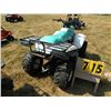 Image 4 : 1994 Polaris 250 Trail Boss 2271802