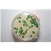 Image 1 : Lot of Approx. 25 Lab Simulated Peridot various shapes and sizes; EST. $10-25