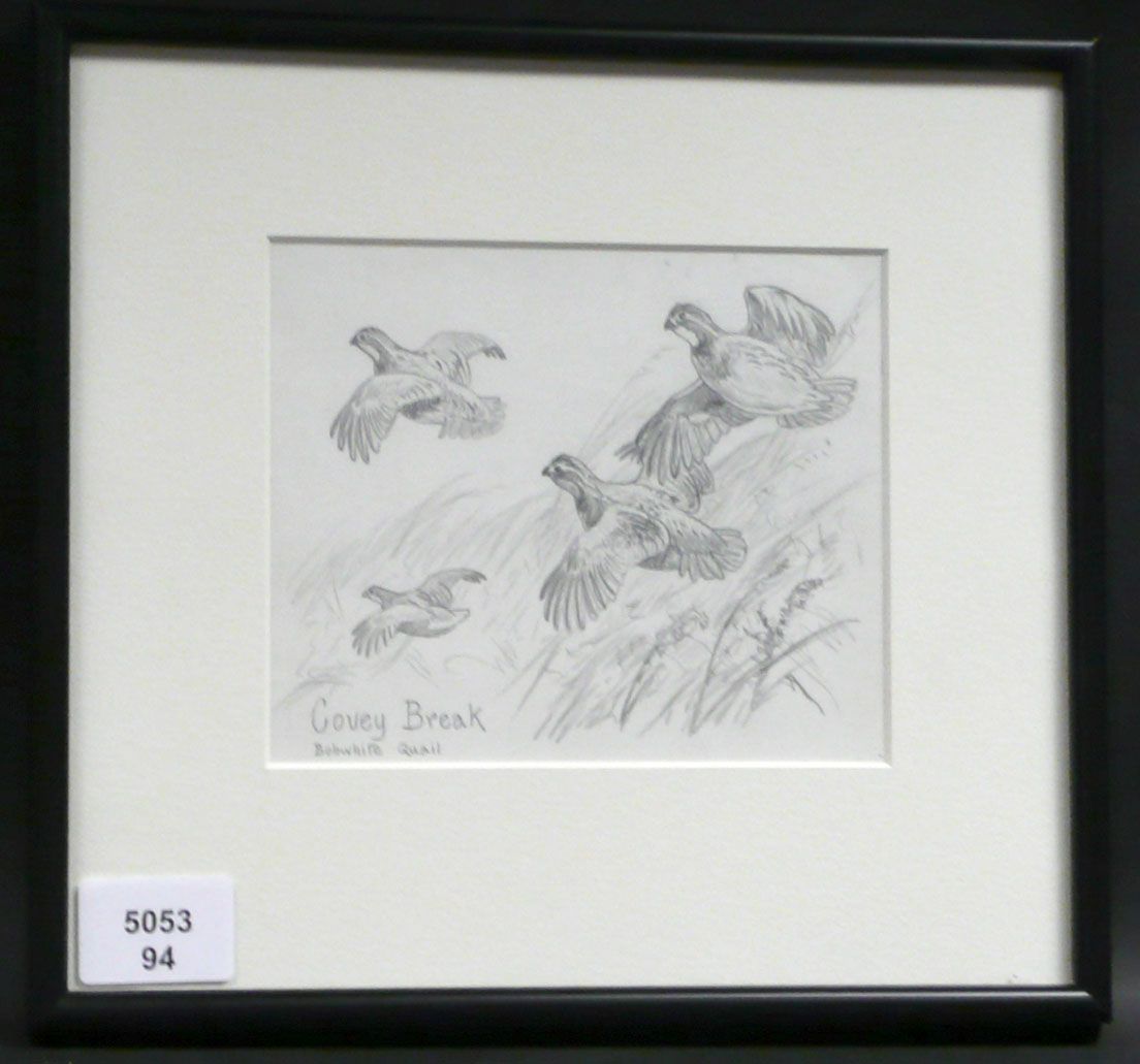 Pencil Drawing, Covey Break Bobwhite Quail, 20th C., N9ENBJ