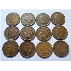 Lot of 12 Indian Head pennies-Low start Low ship