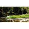 Image 3 : Clublink Gold Resort Golf Package
