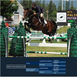 GRAFITI VAN DEN BISSCHOP (Palio) - Darco x Welchy Van Het Kromveldhof, 2006 Stallion