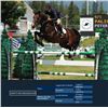 Image 1 : GRAFITI VAN DEN BISSCHOP (Palio) - Darco x Welchy Van Het Kromveldhof, 2006 Stallion
