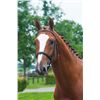 Image 2 : DIDAM - Quidam de Revel x Carthago Z, 2008 Stallion, KWPN, Chestnut, +16.2h (1.66m)