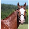Image 2 : DON JUAN - Valiant x Riverman, 2008 Gelding, Chestnut, +16.1h (1.64m)