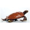 Image 1 : Sea Turtle Bronze Sculpture