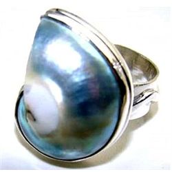 Silver and Nautilus Shell Ring