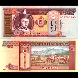 1993 Mongolia 20 Tugrik Note Crisp Unc (CUR-06862)