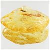 Image 1 : 40ct Large Amber Chunk With Inclusions (MIN-001599)