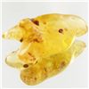 Image 1 : 65ct Large Amber Chunk With Inclusions (MIN-001491)