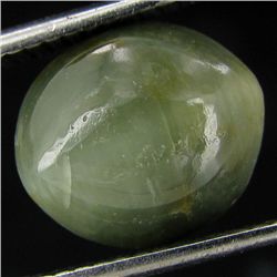 3.45ct Apatite Cat'S Eye Cabochon Oval (GEM-42919)