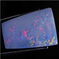 12.65ct Australian Black Opal Doublet Full Fire (GEM-46640)