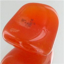 19.95ct Carnelian Freeform Cabochon (GEM-34158)