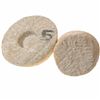 Image 4 : Handcarved Sandstone Mushroom (CLB-135)