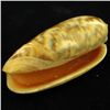 Image 2 : Scarce Collectible Oliva Miniacea Shell (SHL-000107)