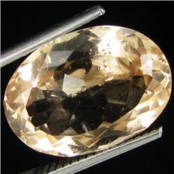 10.4ct Chanpaigne Imperial Topaz (GEM-35726)