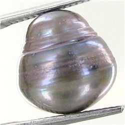 12.95ct Freshwater Black Pearl (GEM-48385)
