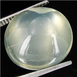 15.00ct Clear Misty Moonstone Cat's Eye Cabochon  (GEM-32046)