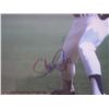 Image 2 : Autographed picture Dodgers, Steve Sax