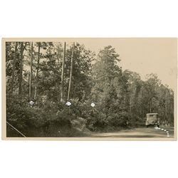 Bonnie and Clyde Ambush Road Photo