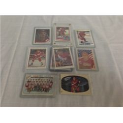 DETROIT RED WINGS COLLECTOR LOT INCL