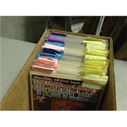 TEENAGE MUTANT TURTLES MIRAGE STUDIOS