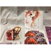 Image 3 : LOT OF DAWN SWAG - 3 T-SHIRTS, 2 CARDBOARD