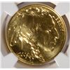 Image 2 : 2009 $50.00 BUFFALO ONE OZ. .999 FINE GOLD NGC MS69 EARLY RELEASE