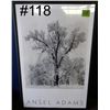 Image 1 : Ansel Adams Poster