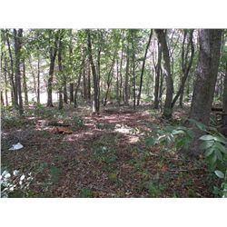 City lot w/ access to 4th ave. It is Mille Lacs County PID 24-320-0320