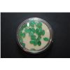 Image 1 : Diamond-Shaped Simulated Emerald Stones; Lot of 20; EST. $10-20