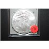 Image 1 : 2012 US Silver American Eagle $1; 1 Oz. Fine Silver; EST. $35-45