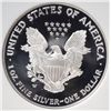 Image 3 : 2006W 20th anniv  proof  US silver Eagle  NGC PR69UC  est $60-$75