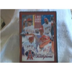 Angels 2002 World Champions DVD