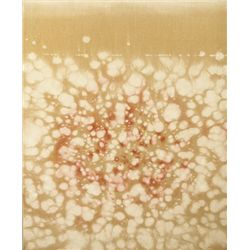 Patrick Scott HRHA (b.1921) - COTTON BOG 15562