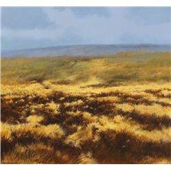 Trevor Geoghegan (b.1946) - LOOKING SOUTH, 1992