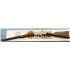 Image 4 : Henry Golden Boy 17HMR