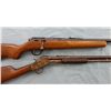 Image 1 : Pair of 22 cal Rifles