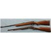 Image 3 : Pair of 22 cal Rifles