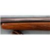 Image 5 : Winchester Model 70 Varmit Rifle (243cal)