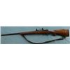 Image 6 : Winchester Model 70 Varmit Rifle (243cal)
